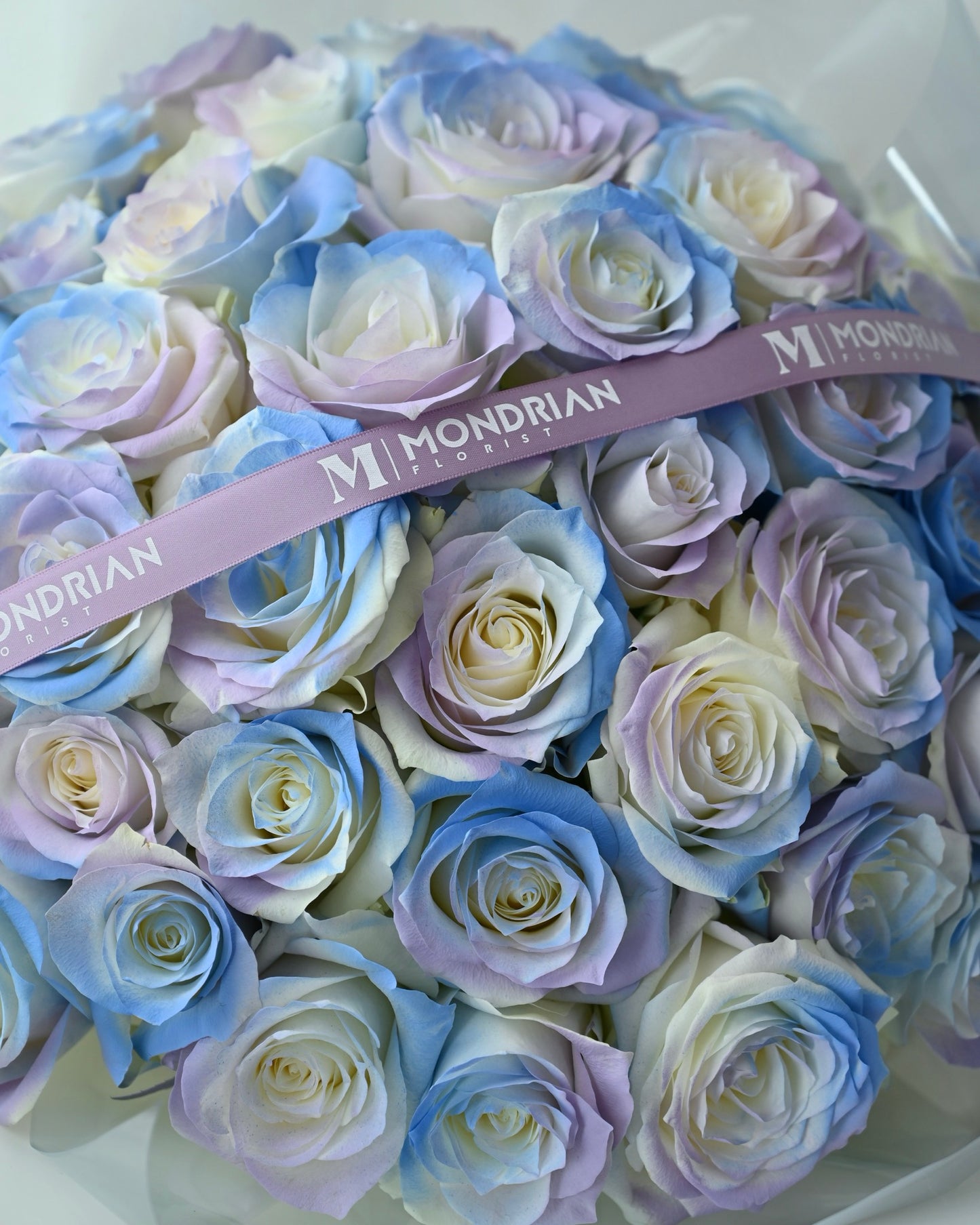 aurora rose | 99 rose Bouquet Singapore | anniversary rose bouquet | rose bouquet delivery sg | Valentine's Day flower delivery | blue rose bouquet | Mondrian Florist SG