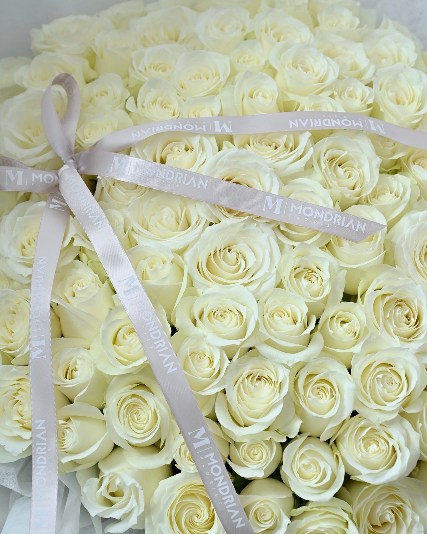 99 Rose Singapore | luxury rose flower | white rose only sg | rose flower delivery SG | rose only flower bouquet | proposal rose bouquet | anniversary rose bouquet | Mondrian Florist SG