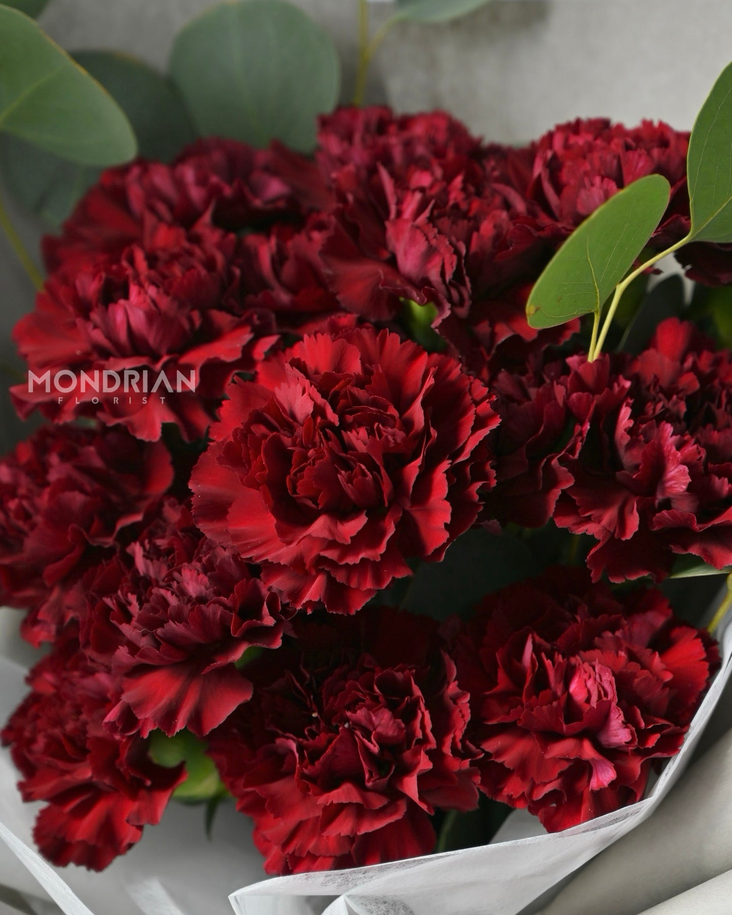 a bouquet of burgundy red carnations and eucalyptus leaves by Mondrian Florist