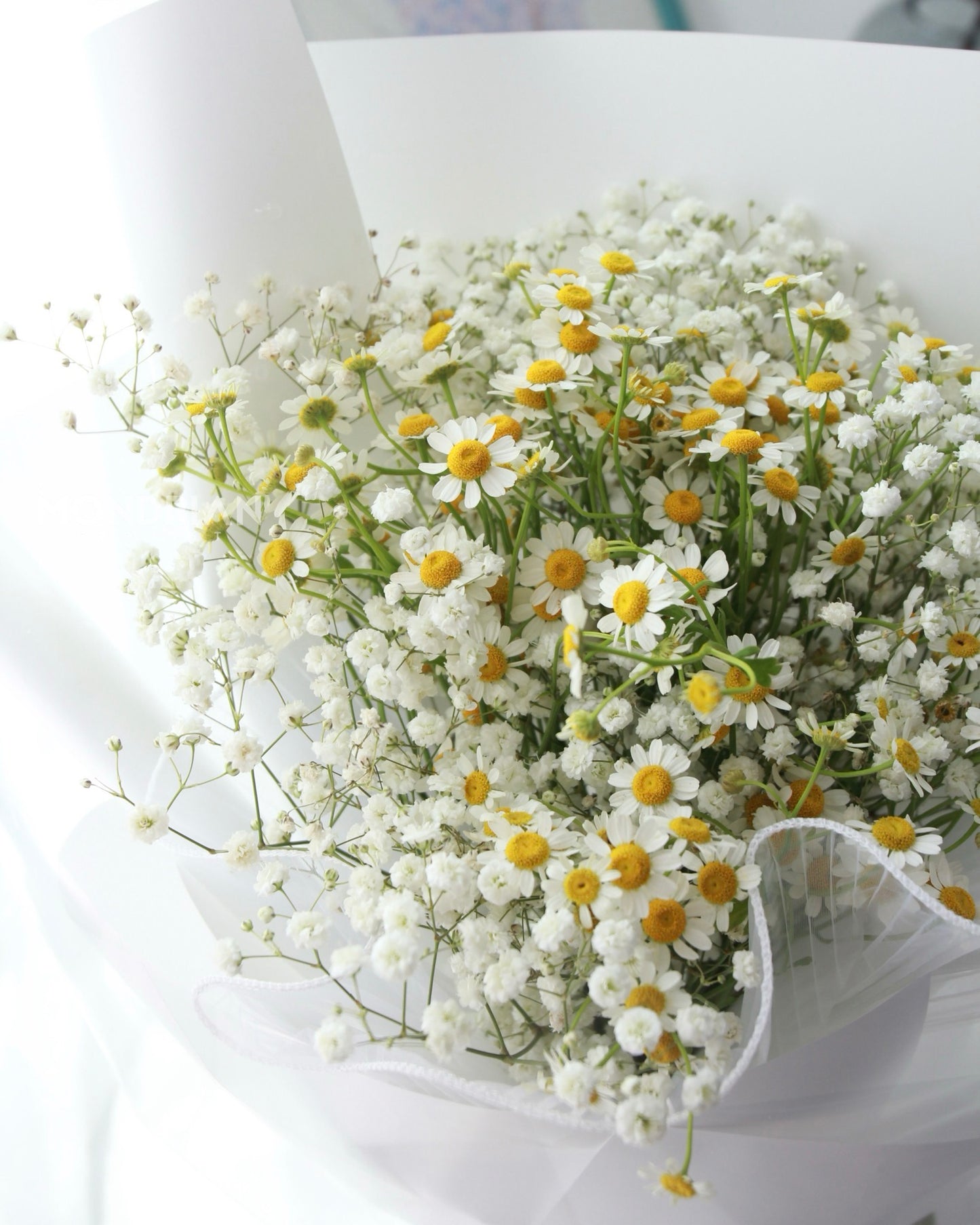 Daisy flower Bouquet | Tanacetums flower bouquet | birthday flower bouquet | baby's breath flower bouquet | flower delivery SG | Mondrian Florist SG