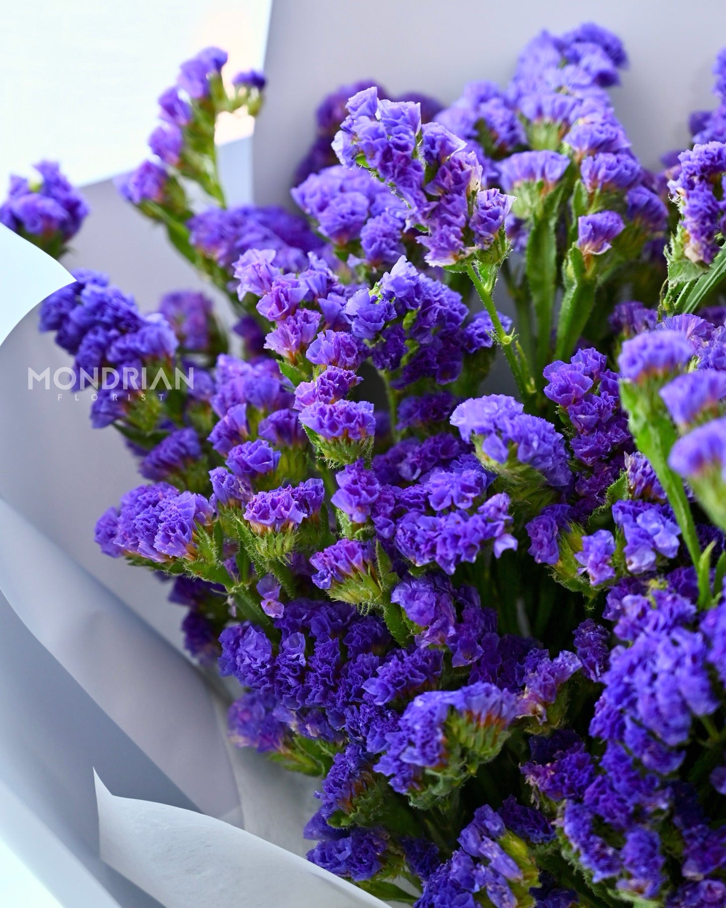 forget me not flower | dried flower bouquet | fresh flower bouquet | birthday flower bouquet | Flower Delivery sg | Mondrian Florist SG