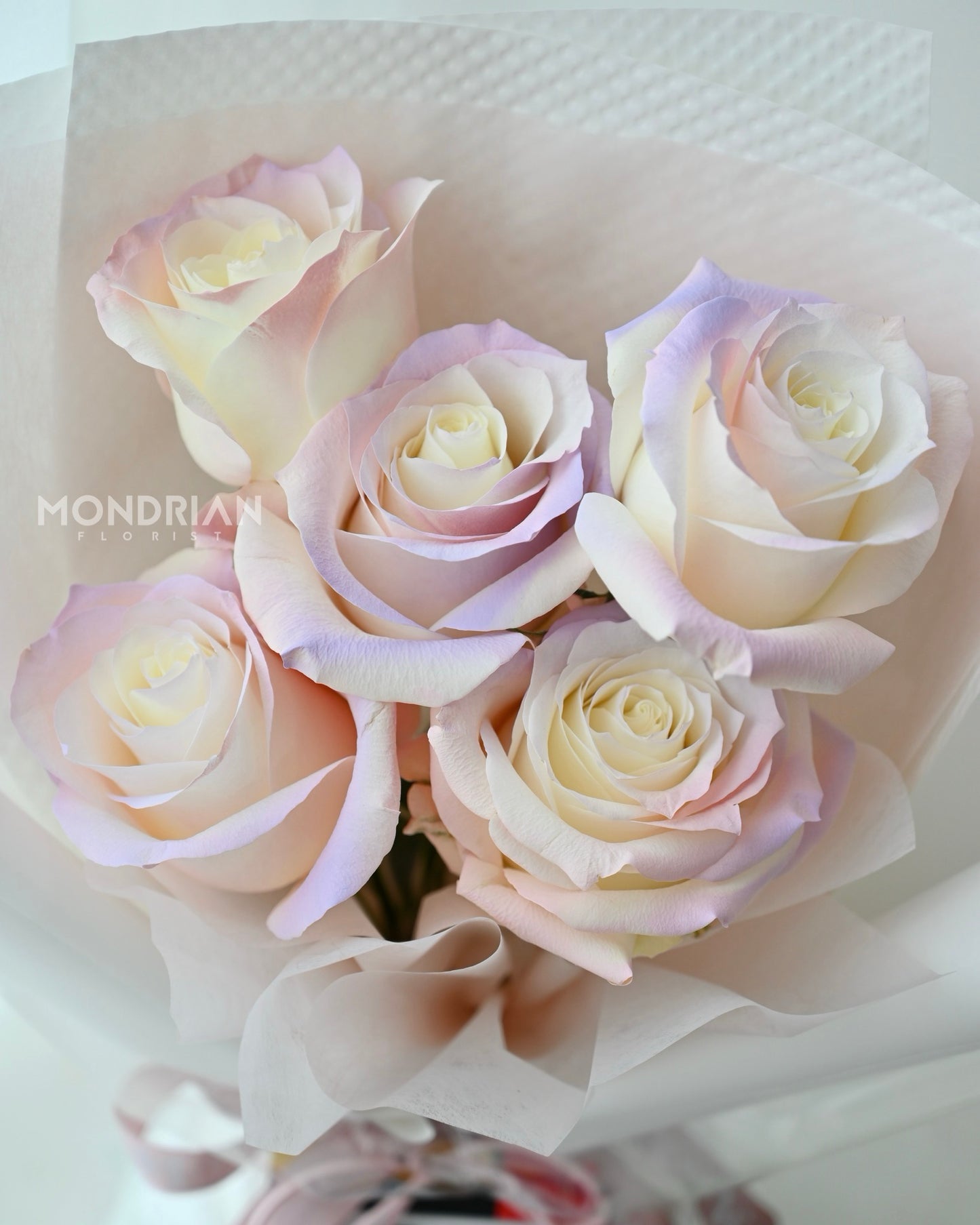 rainbow rose bouquet | rose only sg | flower bouquet | white rose bouquet | birthday flower bouquet | anniversary rose flower | flower delivery | Mondrian Florist