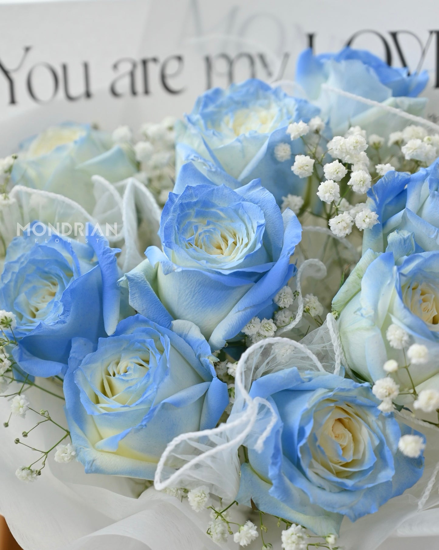 blue rose | Rose with baby's breath bouquet Singapore | anniversary rose bouquet | birthday rose bouquet | rose bouquet delivery sg | Valentine's Day flower delivery | blue rose bouquet | Mondrian Florist SG