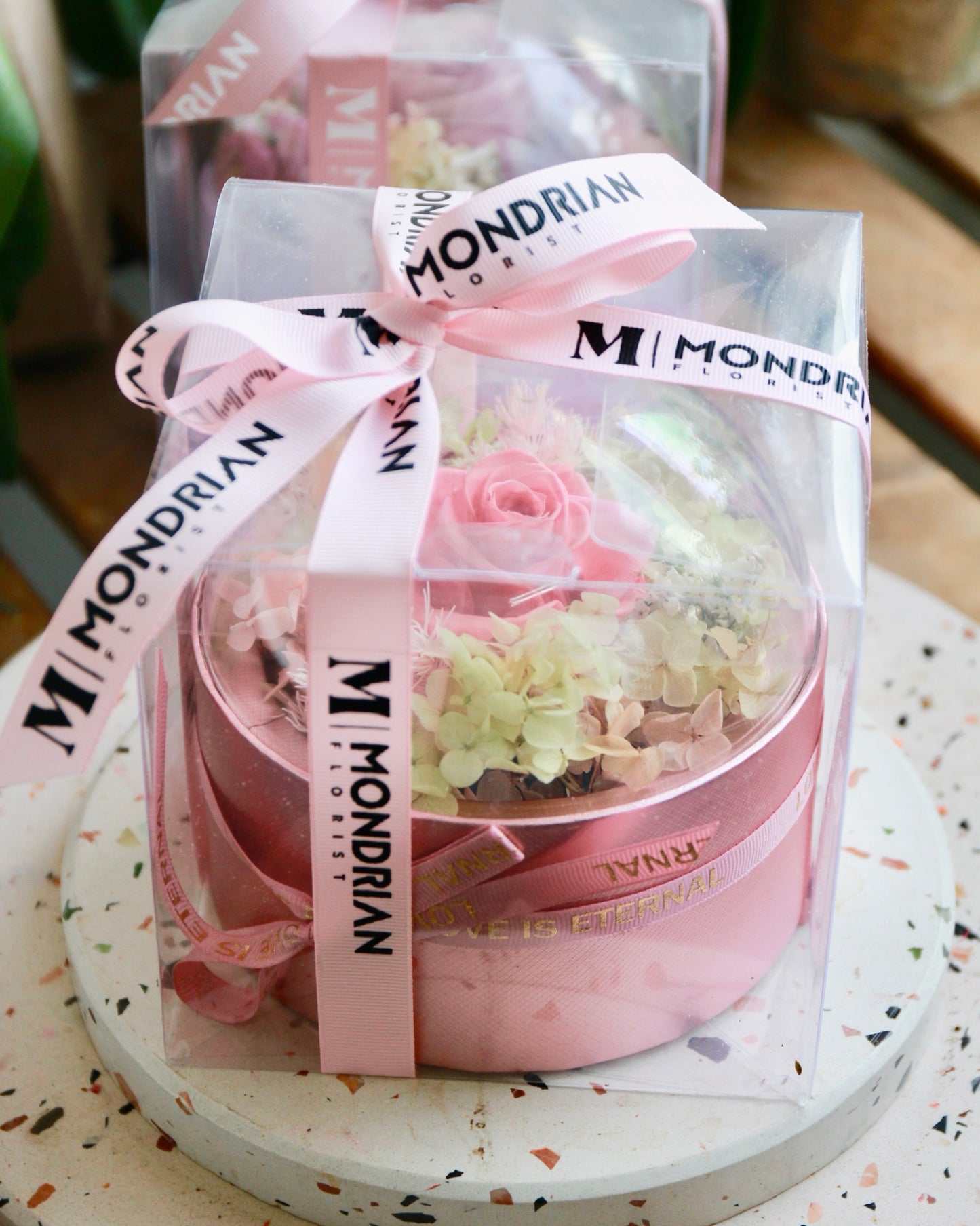 Preserved Rose in Dome | dried flower sg | dome flower | fairy lights | flower delivery sg | Mondrian Florist