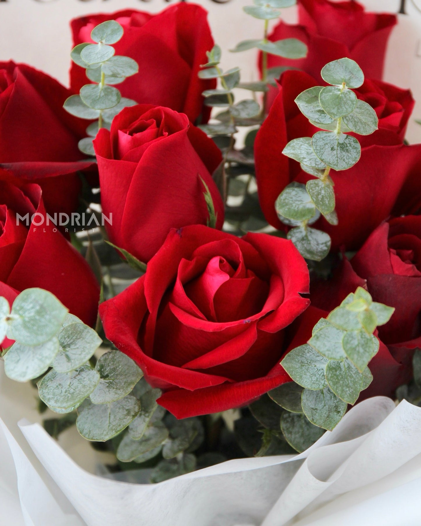 Red rose bouquet | rose only bouquet sg | flower bouquet sg | red rose delivery | birthday rose delivery | anniversary flower | flower delivery sg | Mondrian Florist