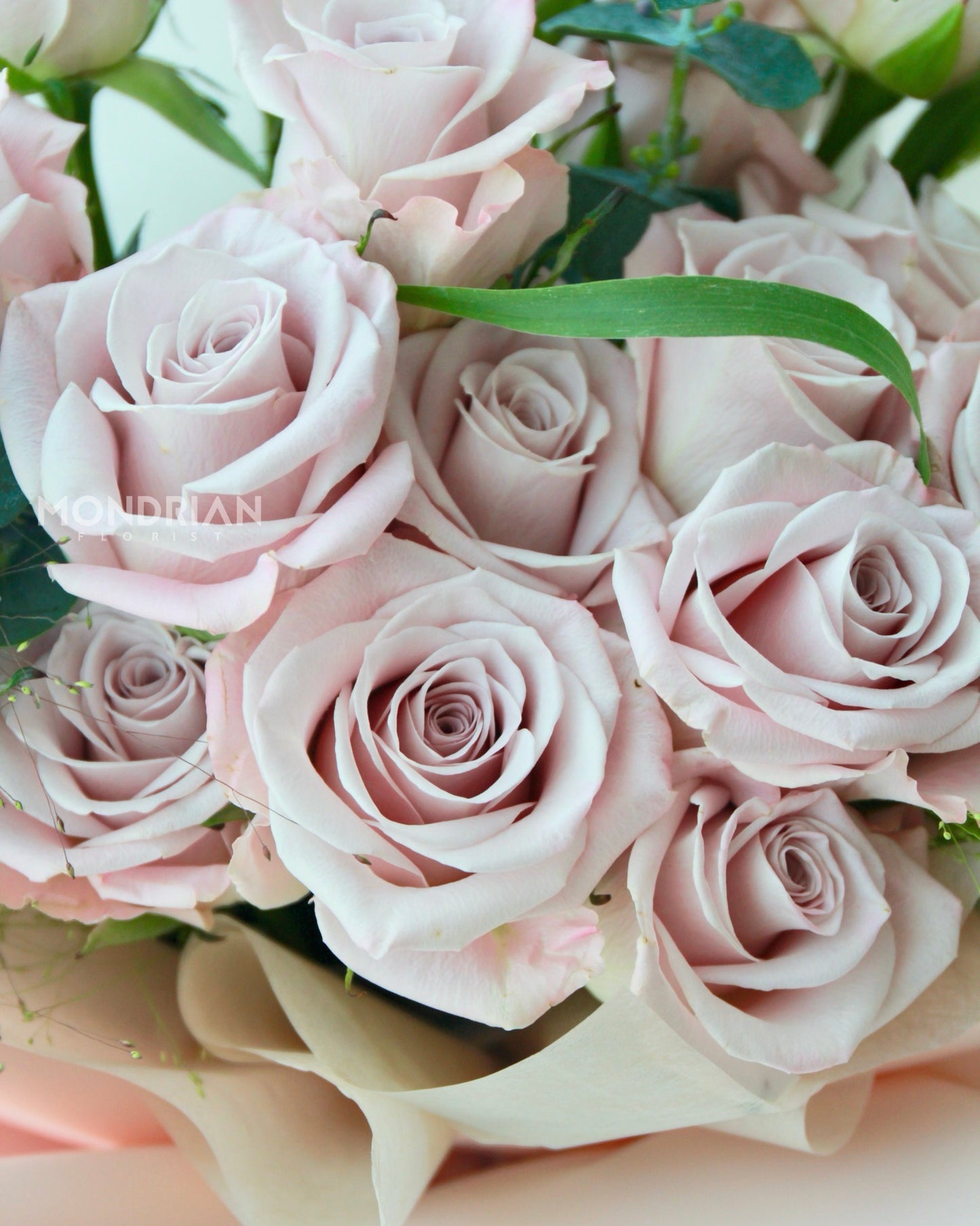 Manta Rose Bouquet | rose bouquet singapore | anniversary rose bouquet | birthday flower delivery | Mondrian Florist