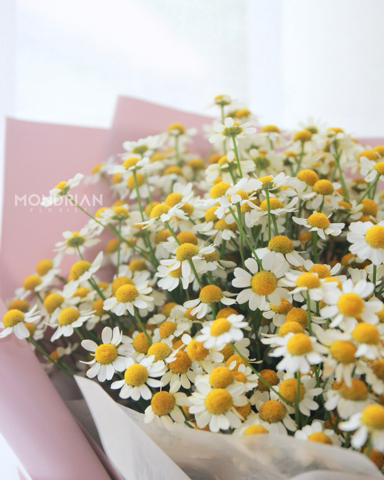 Daisy_Flower_ Bouquet - Mondrian_Florist_SG