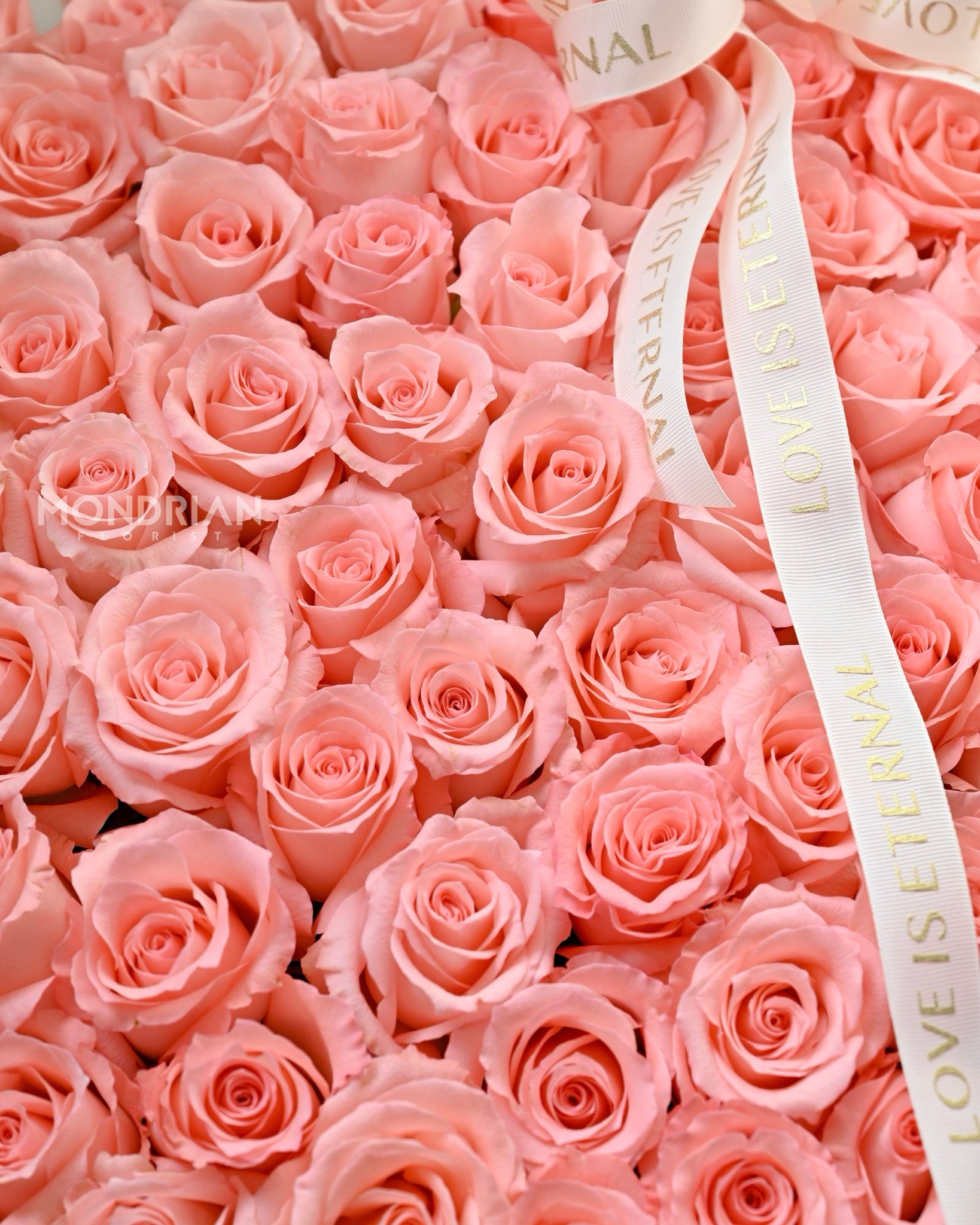 99 Rose Singapore | luxury pink rose | pink rose only sg | rose flower delivery SG | rose only flower bouquet | proposal rose bouquet | anniversary rose bouquet | Mondrian Florist SG