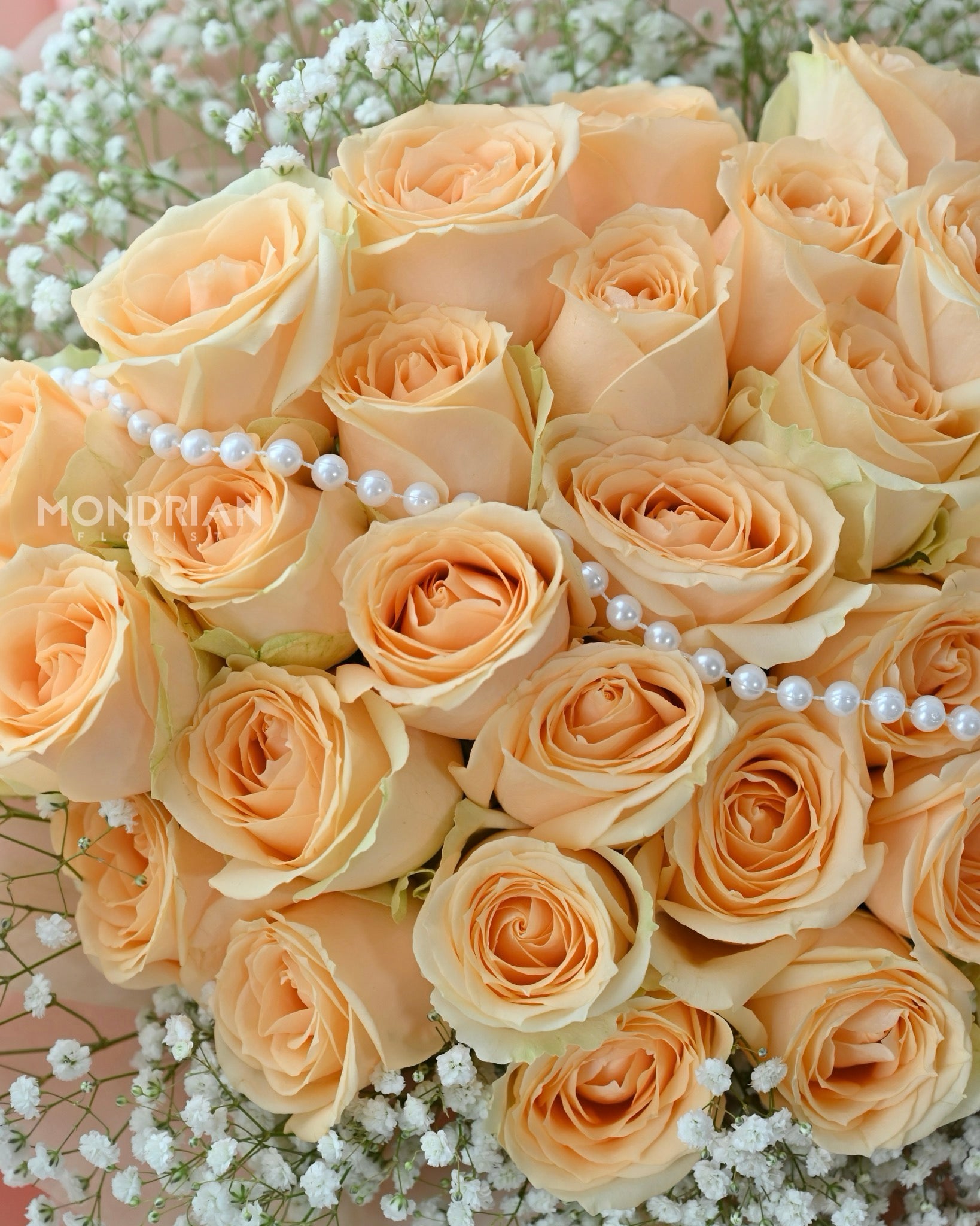 close up of a bouquet of 30 stalks fresh champagne rose and white baby's breath by Mondrian Florist SG