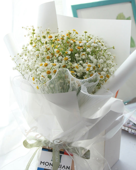 Daisy flower Bouquet | Tanacetums flower bouquet | birthday flower bouquet | baby's breath flower bouquet | flower delivery SG | Mondrian Florist SG