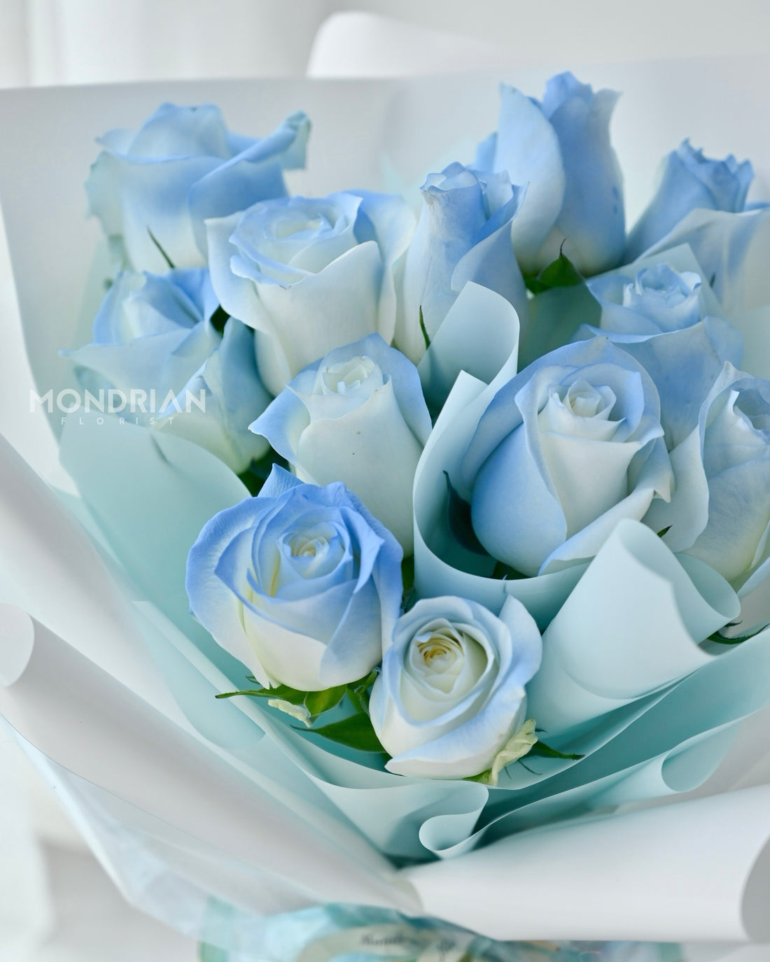 Blue Birthday Roses Ice Blue Rose Bouquet Singapore β Angel Wings β MondrianFlorist