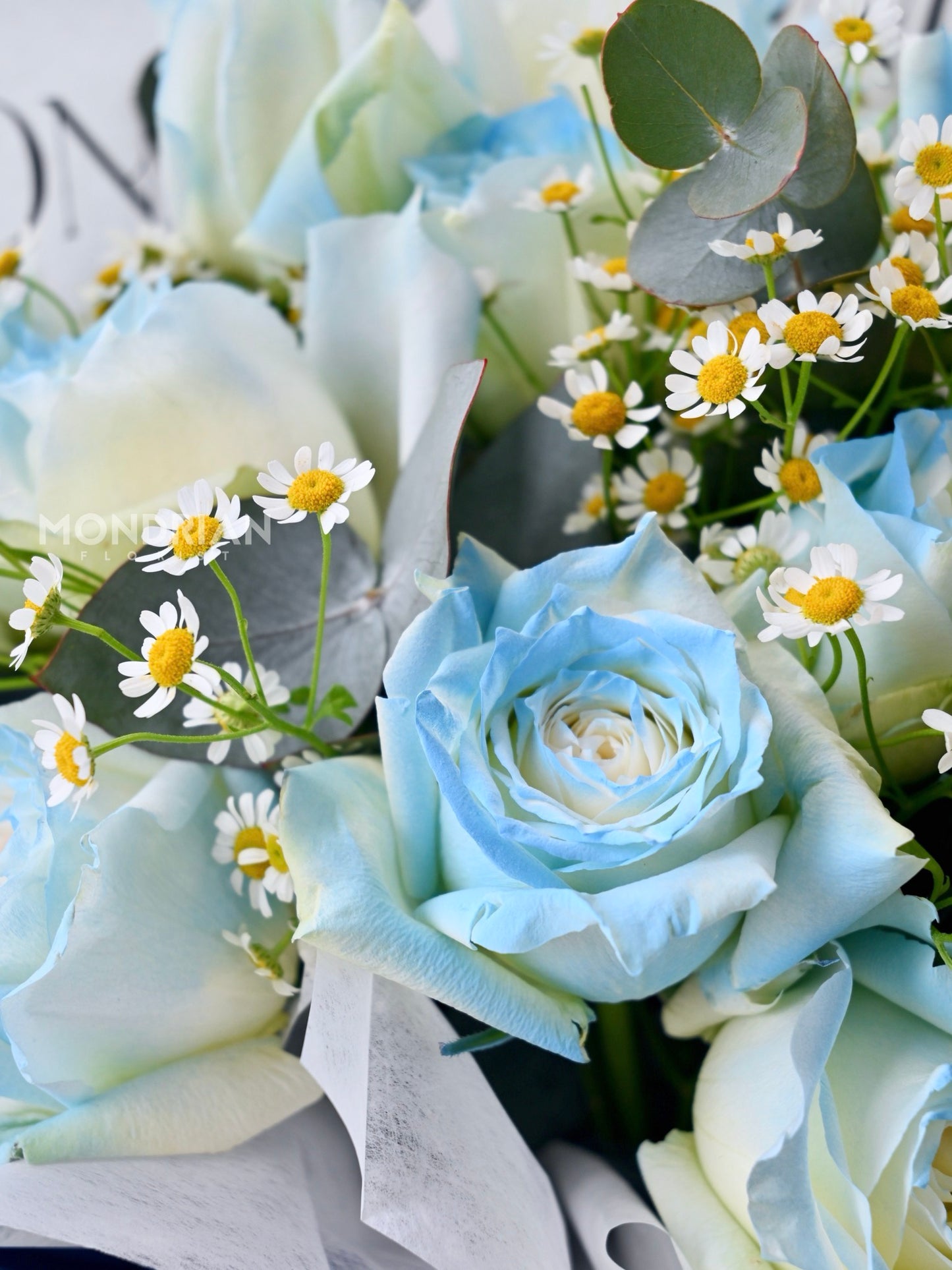 Blue rose Bouquet | anniversary flower delivery | blue rose flower | birthday flower | flower bouquet sg | daisy flower bouquet | Mondrian Florist SG