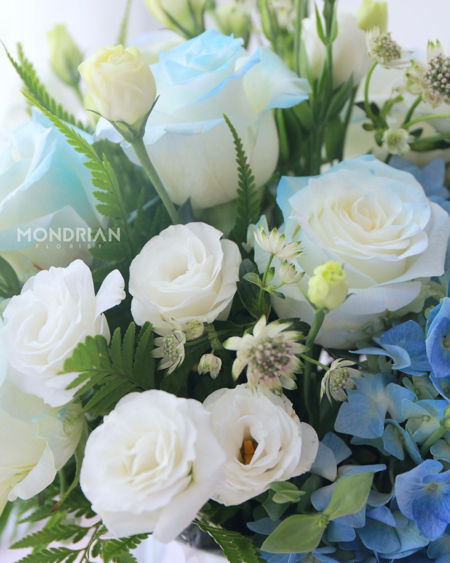 Blue Flower box | bloom box | flower basket | hydrangea flower box | ice blue rose | housewarming flower gift | birthday flower box | flower delivery sg | Mondrian Florist SG