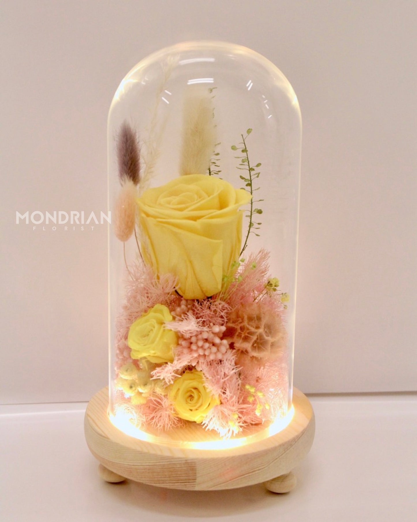 Preserved Rose in Glass Dome | dried flower sg | glass dome flower | fairy lights | flower delivery sg | Mondrian Florist