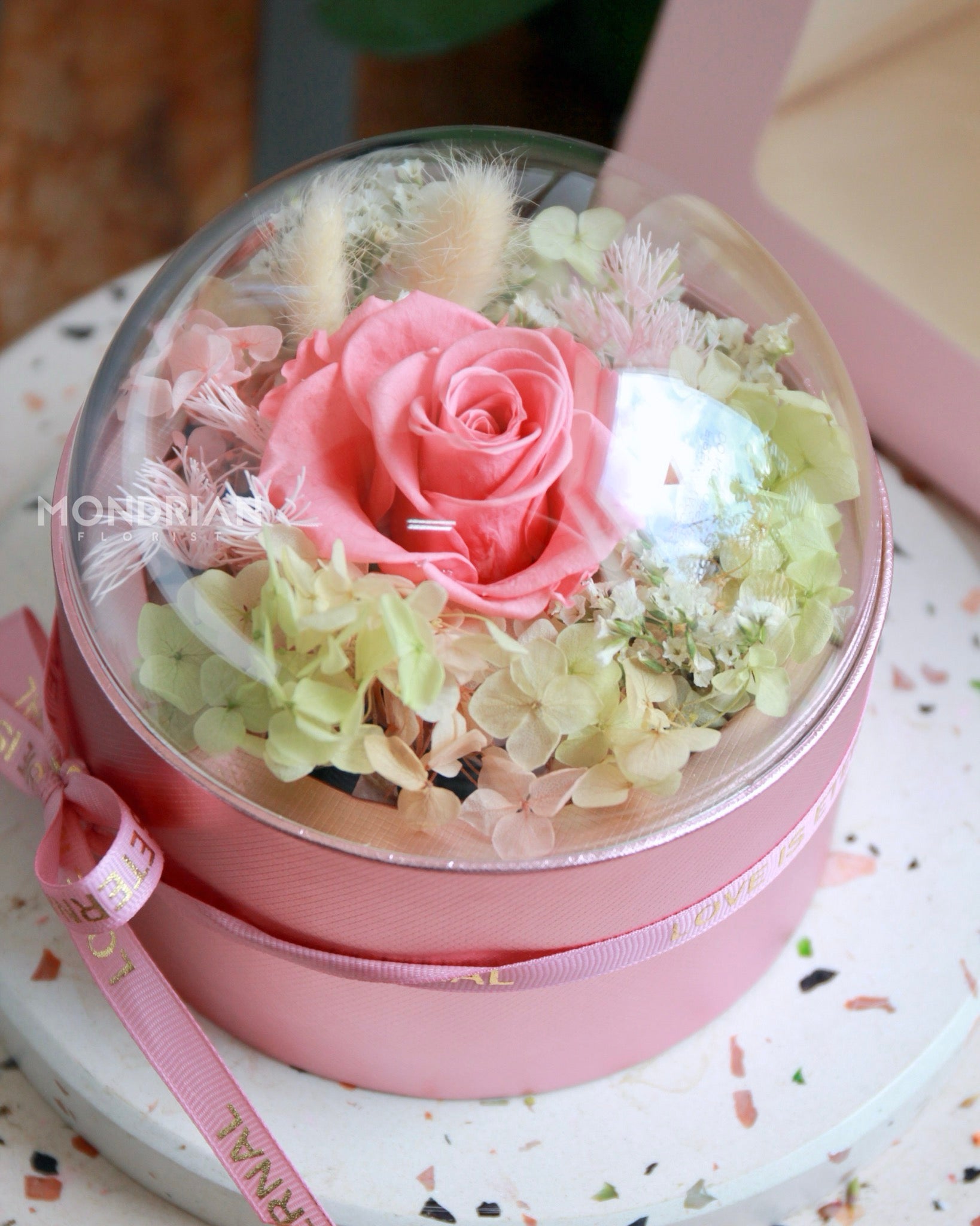Preserved Rose in Dome | dried flower sg | dome flower | fairy lights ...