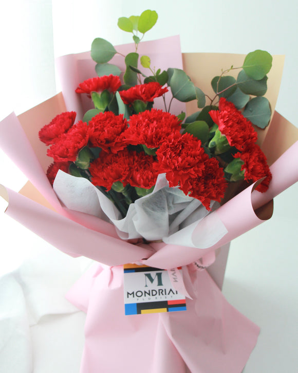 Red Carnation bouquet - mother's day flower delivery - MondrianFlorist