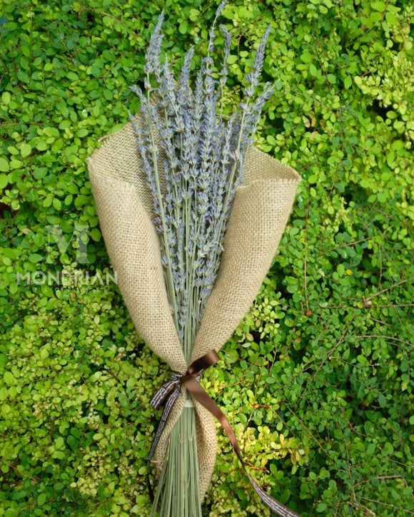 Dried Lavender Bouquet | Lavender Flower Delivery | flower bouquet delivery | Mondrian Florist SG
