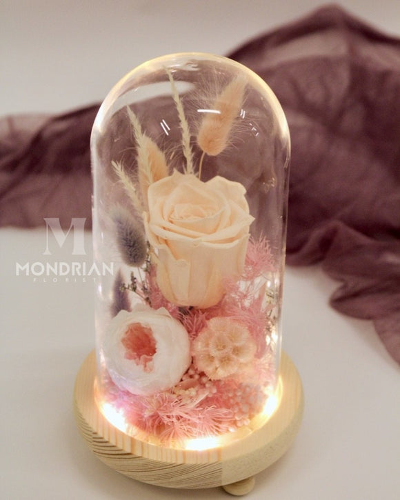 Preserved Rose in Glass Dome - Champagne Rose - MondrianFlorist