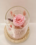 Preserved Rose in Glass Dome - Pink Rose - MondrianFlorist