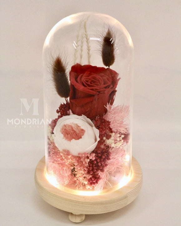 Preserved Rose in Glass Dome - Red Rose - MondrianFlorist