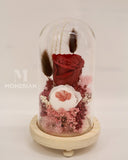 Preserved Rose in Glass Dome - Red Rose - MondrianFlorist