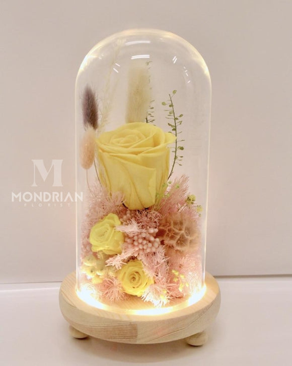 Preserved Rose in Glass Dome - Yellow Rose - MondrianFlorist